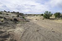 a large dirt road with some rocks and shrubs around it in the foreground of the desert