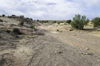 a large dirt road with some rocks and shrubs around it in the foreground of the desert