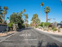 Straight Road Through Suburban California, USA