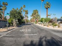 Straight Road Through Suburban California, USA