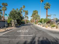 Straight Road Through Suburban California, USA