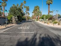 Straight Road Through Suburban California, USA