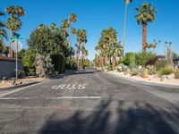 Straight Road Through Suburban California, USA