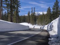 a long straight road in the woods next to a snowy hill, in front of trees, with a snowbank