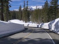 a long straight road in the woods next to a snowy hill, in front of trees, with a snowbank