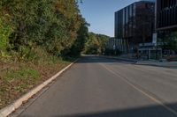 an empty street lined with bushes and trees in autumntime, with buildings visible in the background