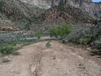 A Straight Road in Utah: Embracing the Mountain Landscape on a Clear Day