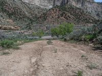 A Straight Road in Utah: Embracing the Mountain Landscape on a Clear Day