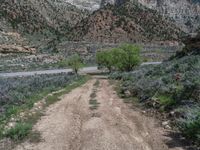 A Straight Road in Utah: Embracing the Mountain Landscape on a Clear Day