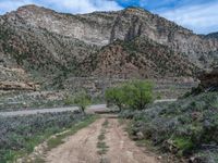 A Straight Road in Utah: Embracing the Mountain Landscape on a Clear Day