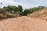 a dirt road with trees and dirt, with no people on either side of it