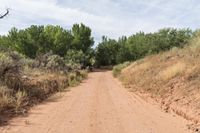 a dirt road with trees and dirt, with no people on either side of it