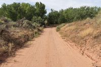 a dirt road with trees and dirt, with no people on either side of it
