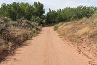 a dirt road with trees and dirt, with no people on either side of it