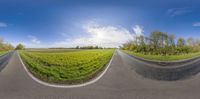 360 - view photograph of a street intersection with an upward angle on the road, and a green field in the distance