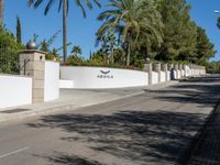 a street in a palm city area next to palm trees and a white wall with black fencing