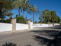 a street in a palm city area next to palm trees and a white wall with black fencing