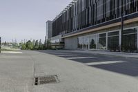 Street View in Toronto, Canada under a Clear Sky