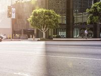 the bike rider rides down the street on a sunny day in los, california, usa