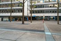 there are many trees on the sidewalk in the plaza outside the building with two buildings