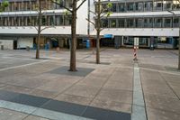 there are many trees on the sidewalk in the plaza outside the building with two buildings