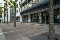 the large empty area features trees and a paved sidewalk with black perforaches