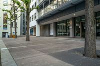 the large empty area features trees and a paved sidewalk with black perforaches