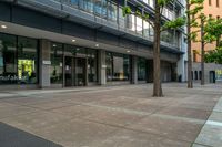 a gray building with windows has glass front doors and a street sign on it with a tree in the front