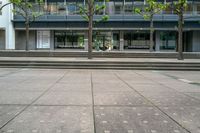 a street with many steps on the sidewalk and some trees on either side of the sidewalk