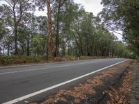 the side of a street by the woods and the road is wide and empty with trees all around