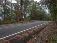 the side of a street by the woods and the road is wide and empty with trees all around