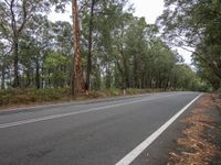 the side of a street by the woods and the road is wide and empty with trees all around