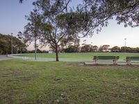 two benches sit under the shade of trees in the grass of a park area at dusk