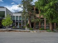 street corner with tree on the corner of the corner and a building behind it that is surrounded by multiple windows and a perforated brown lattice