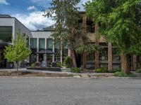 street corner with tree on the corner of the corner and a building behind it that is surrounded by multiple windows and a perforated brown lattice