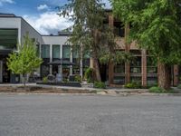 street corner with tree on the corner of the corner and a building behind it that is surrounded by multiple windows and a perforated brown lattice