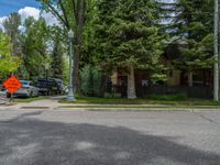 an empty street lined with trees and a mountain range in the distance in the back