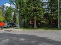 an empty street lined with trees and a mountain range in the distance in the back