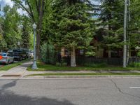 an empty street lined with trees and a mountain range in the distance in the back