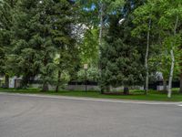 an empty street lined with trees and a mountain range in the distance in the back