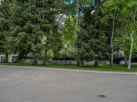 an empty street lined with trees and a mountain range in the distance in the back