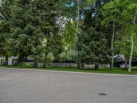 an empty street lined with trees and a mountain range in the distance in the back