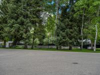 an empty street lined with trees and a mountain range in the distance in the back