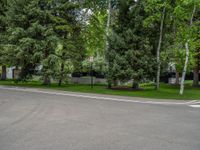 an empty street lined with trees and a mountain range in the distance in the back