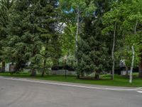 an empty street lined with trees and a mountain range in the distance in the back