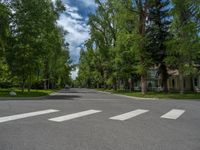 a road and trees line a residential street in a residential area in a neighborhood with no parking