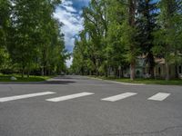 a road and trees line a residential street in a residential area in a neighborhood with no parking