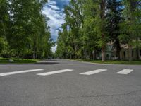 a road and trees line a residential street in a residential area in a neighborhood with no parking