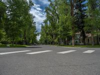 a road and trees line a residential street in a residential area in a neighborhood with no parking