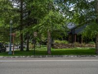 a road and trees line a residential street in a residential area in a neighborhood with no parking